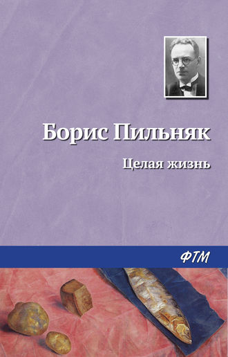 Целая жизнь. Борис Пильняк