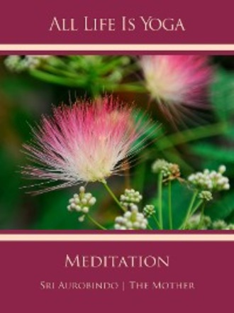 Sri Aurobindo. All Life Is Yoga: Meditation