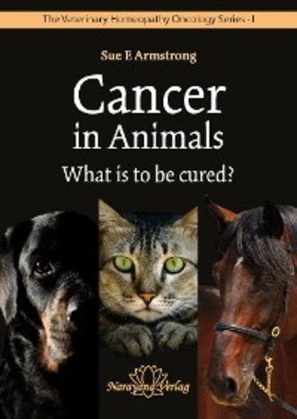 Sue Armstrong. Cancer in Animals - What is to be cured?