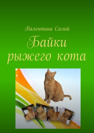 Валентина Михайловна Салий. Байки рыжего кота. Стихи