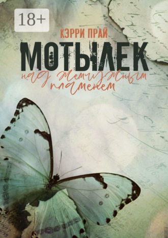 Мотылёк над жемчужным пламенем. 