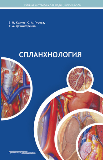 Спланхнология. 