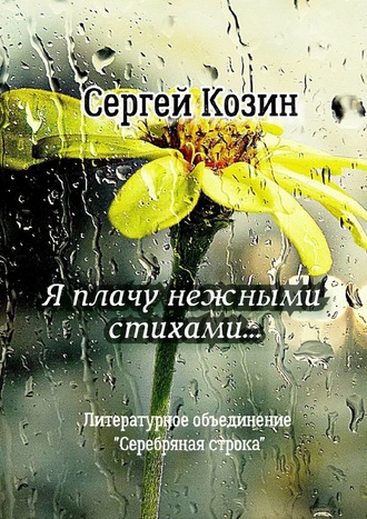 Сергей Козин. Я плачу нежными стихами… Литературное объединение «Серебряная строка»