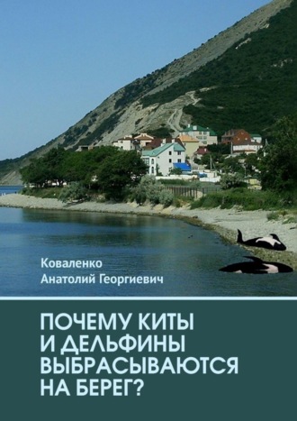 Почему киты и дельфины выбрасываются на берег?. Анатолий Георгиевич Коваленко