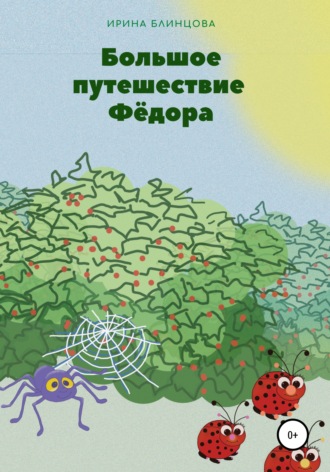 Большое путешествие Фёдора. Ирина Блинцова