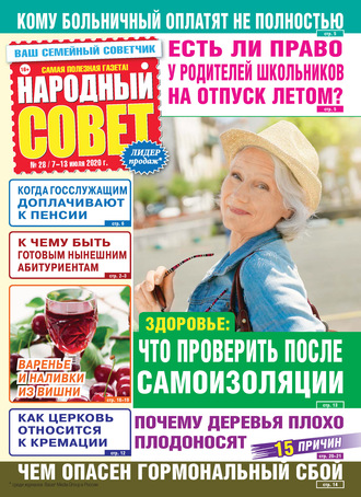 Группа авторов. Народный совет №28/2020