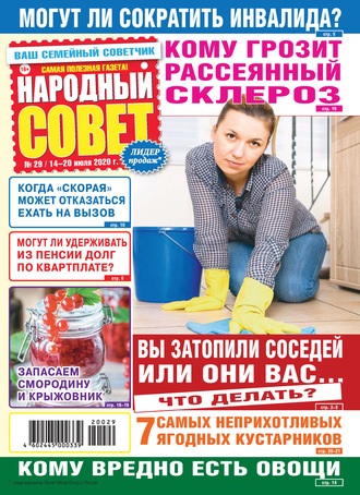 Народный совет №29/2020. Группа авторов