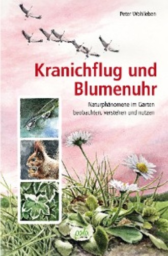 Peter Wohlleben. Kranichflug und Blumenuhr