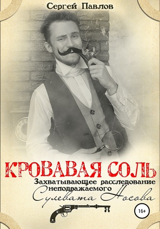 Сергей Павлов. Кровавая Соль. Захватывающее расследование неподражаемого Сулевата Носова