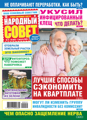 Народный совет №31/2020. Группа авторов