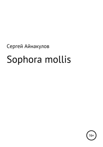 Sophora mollis. 