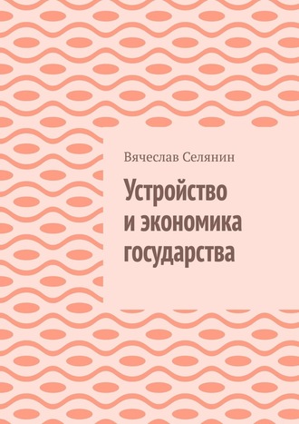 Вячеслав Селянин. Устройство и экономика государства