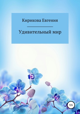 Удивительный мир. Евгения Кирикова