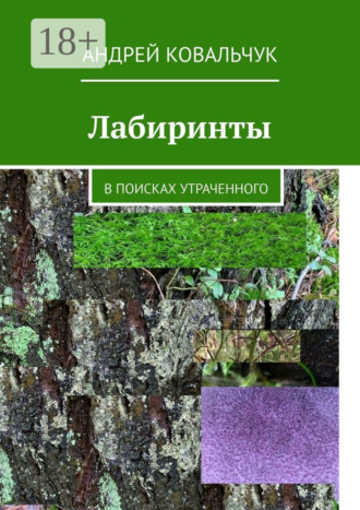 Лабиринты. В поисках утраченного. 