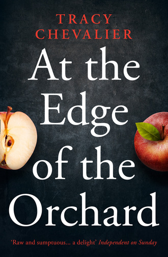 Tracy  Chevalier. At the Edge of the Orchard
