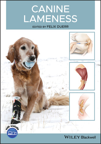 Группа авторов. Canine Lameness