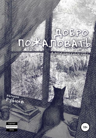 Добро пожаловать в мои цветные сны!. Валерий Юрьевич Рубцов