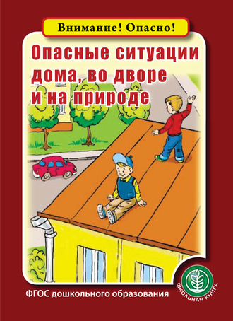Опасные ситуации дома, во дворе и на природе. Группа авторов