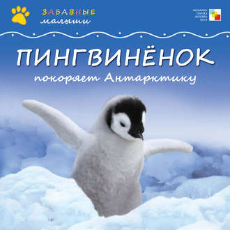 Майкл Тейтелбаум. Пингвинёнок покоряет Антарктиду