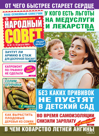 Народный совет №32/2020. Группа авторов