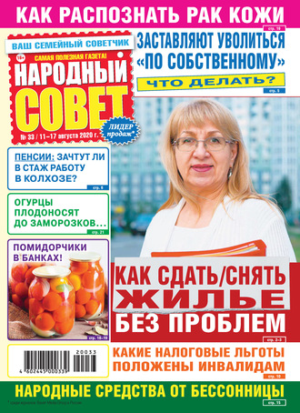 Народный совет №33/2020. Группа авторов