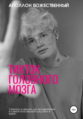 Аполлон Энеевич Божественный. TikTok головного мозга. Секреты и фишки для продвижения и заработка в самой популярной социальной сети