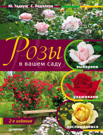Юлия Тадеуш. Розы в вашем саду. Выбираем, ухаживаем, наслаждаемся