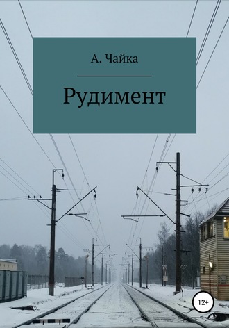 Алина Андреевна Чайка. Рудимент