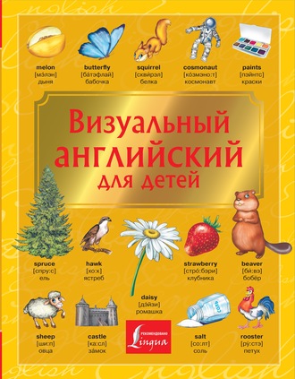 В. А. Державина. Визуальный английский для детей