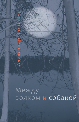 Александр Соболев. Между волком и собакой