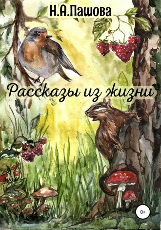 Рассказы из жизни. 