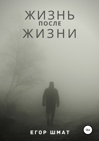 Егор Владимирович Шмат. Жизнь после Жизни