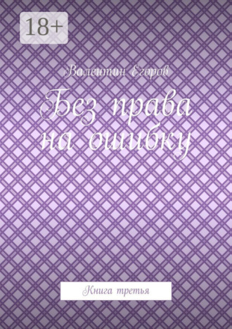Без права на ошибку. Книга третья. Валентин Егоров