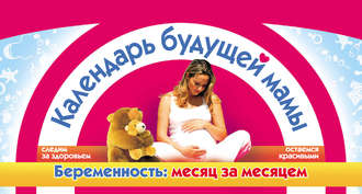 Елена Сосорева. Календарь будущей мамы. Беременность: месяц за месяцем