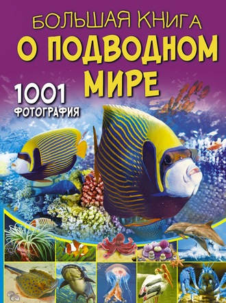 В. В. Ликсо. Большая книга о подводном мире. 1001 фотография