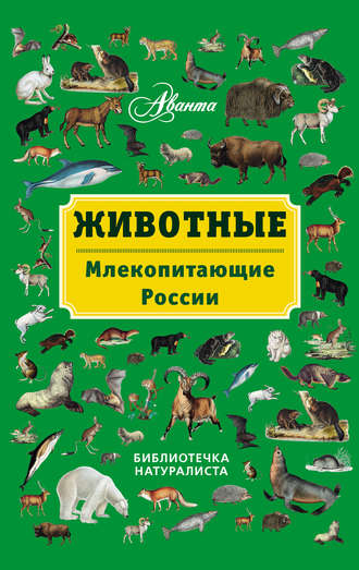 В. Г. Бабенко. Животные. Млекопитающие России