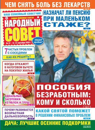 Группа авторов. Народный совет №37/2020