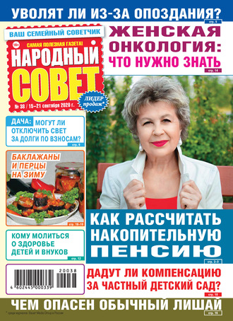 Народный совет №38/2020. Группа авторов
