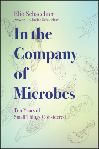 Moselio  Schaechter. In the Company of Microbes