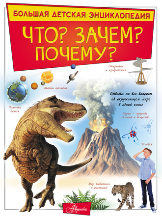 Д. В. Кошевар. Что? Зачем? Почему?