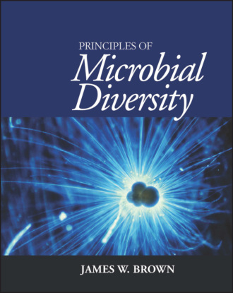 James W. Brown. Principles of Microbial Diversity