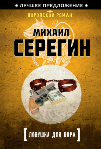 Ловушка для вора. Михаил Серегин