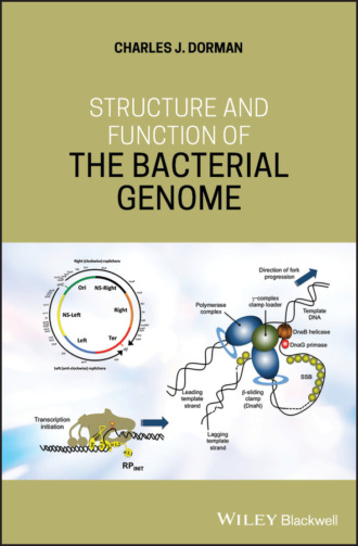 Charles J. Dorman. Structure and Function of the Bacterial Genome