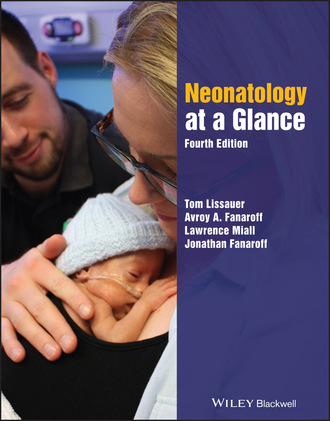 Группа авторов. Neonatology at a Glance