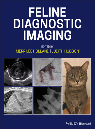 Группа авторов. Feline Diagnostic Imaging