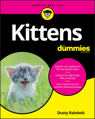 Dusty Rainbolt. Kittens For Dummies