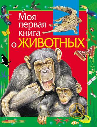 Алексей Никишин. Моя первая книга о животных