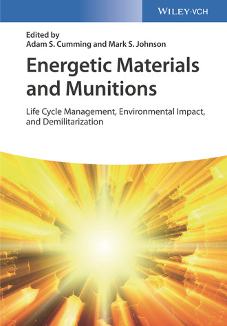 Группа авторов. Energetic Materials and Munitions