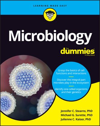 Jennifer  Stearns. Microbiology For Dummies