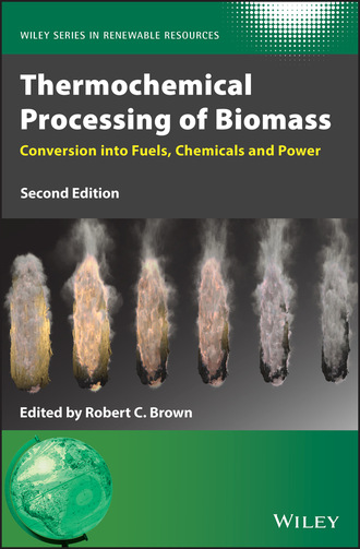 Группа авторов. Thermochemical Processing of Biomass